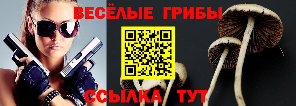 сколько стоит  Вход с VPN  Галлюциногенные грибы ЛСД  Красный Сулин  Галлюциногенные грибы Cubensis 